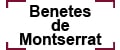 Logo_Benetes